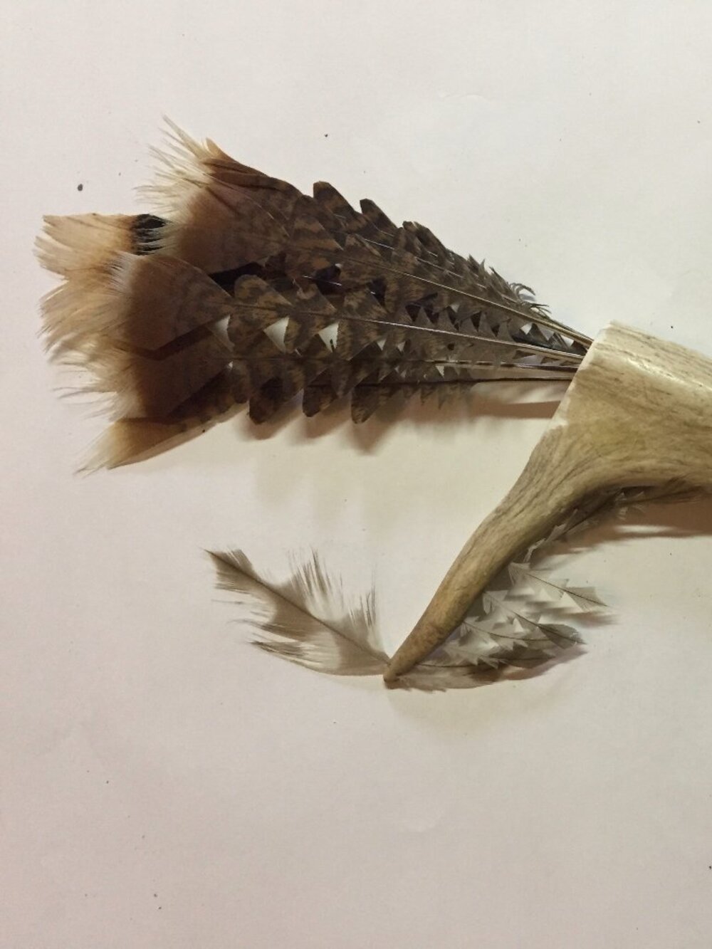 Native American Ceremonial Antler with Feathers